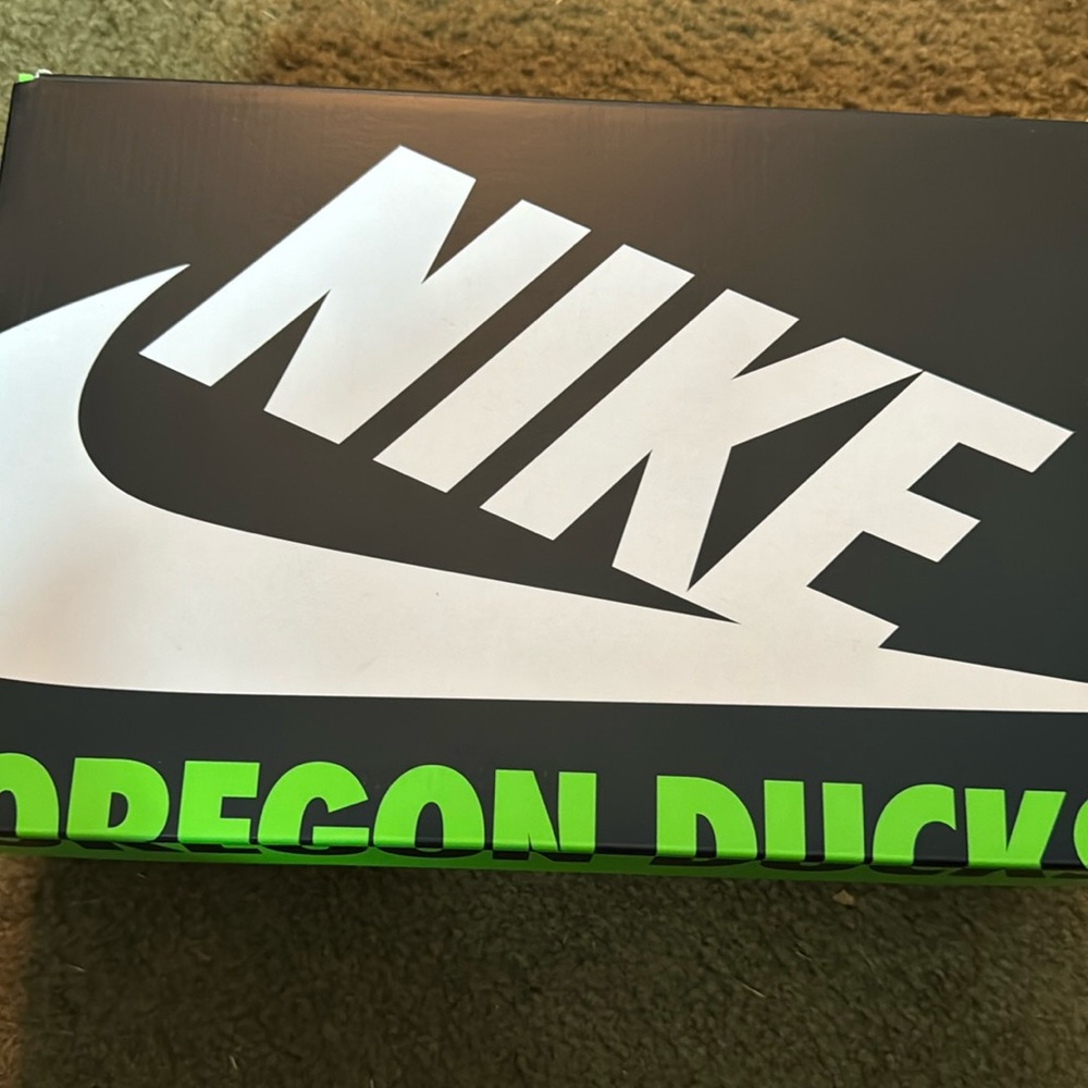 Nike Dunk low what the Duck multicolored size 10